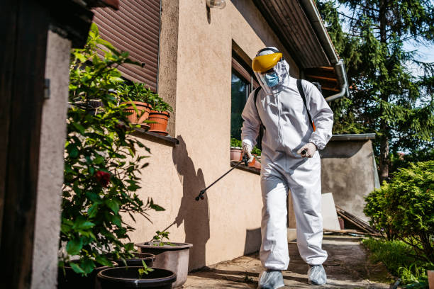 Best Best Pest Control Companies  in Blanchard, OK
