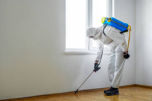 Best Pest Removal Services  in Blanchard, OK