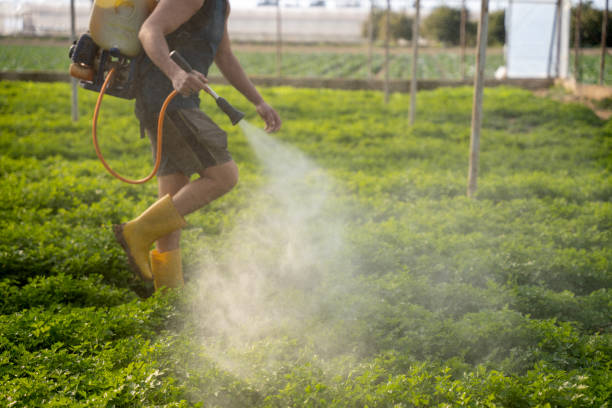 Best Affordable Pest Control Services  in Blanchard, OK