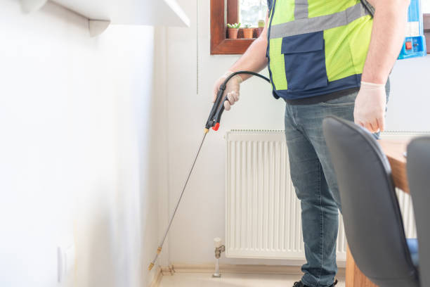 Best Flea Control Services  in Blanchard, OK