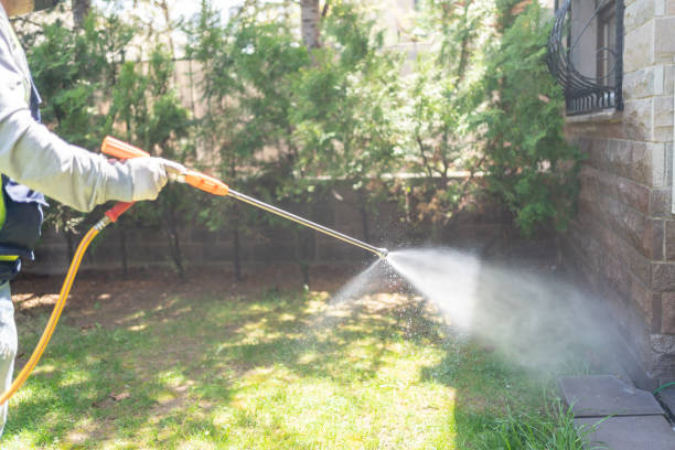 Best Insect Control  in Blanchard, OK