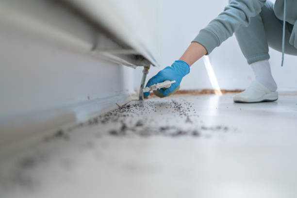 Best Emergency Pest Control  in Blanchard, OK
